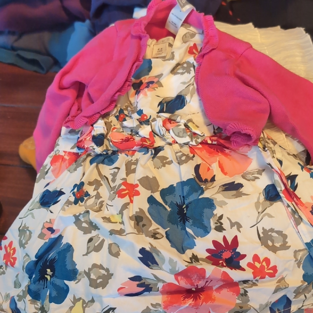 Carter's Pink Cardigan And The Childrens Place Floral Dress